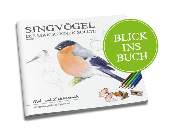 SINGVÖGEL Band 1 - Blick ins Buch